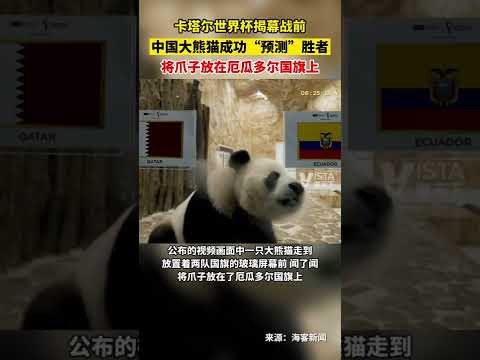 重温经典,八位堂,复古灰蓝牙,2026FIFA世界杯主办国,2026FIFA世界杯,2026,年世界杯赛程