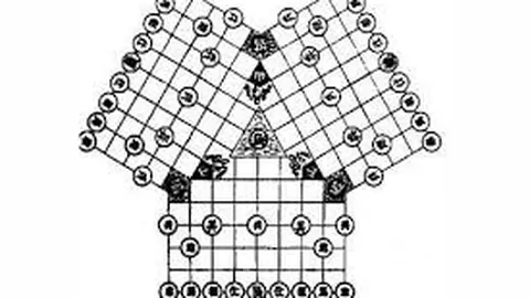 《米塔：揭秘独特魅力，她为何如此与众不同？》