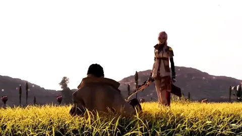 2026FIFA世界杯 资讯 143320 b2s